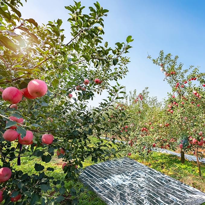 Plant Growth Mylar Films High Reflective Mylar Film Garden Greenhouse Covering Foil Sheets for First Aid Blanket Growth Room Camping Simple Tent,82.6 x 51.2 Inch(2 Pieces)