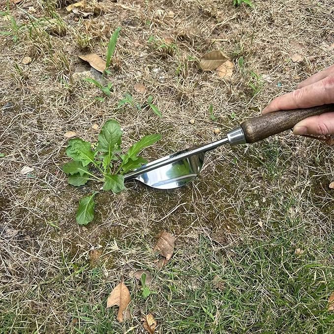 Garden Crevice Weeding Tool Wood Handle Driveway & Sidewalks