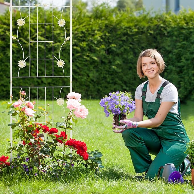 LZRS 2 Pack 71x20in Rustic Iron Arch Decoration Garden Trellis with Black Metal Coating – Perfect for Supporting Climbing Plants Outdoor, Roses, Vines, Flowers, and Vegetables.