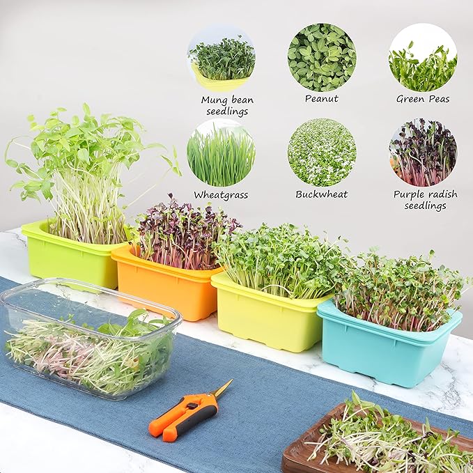 Microgreen Growing Trays, LUVCSOY Sprouting Tray with Humidity Dome, 3mm Large Mesh Holes, BPA Free, Sprouter Kit for Growing Large Seeds, Like Sunflower, Mung Beans, Green Pea - 4 Pack | Colorful