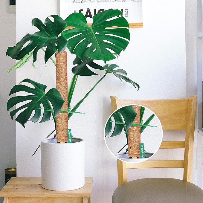 Moss Pole, Augshy Total Length 43 Inch Moss Poles - 2Pcs 24 Inch Plants Support Stakes Pole for Indoor Plants Coir Totem Pole for Creeper Monstera Plant Climbing