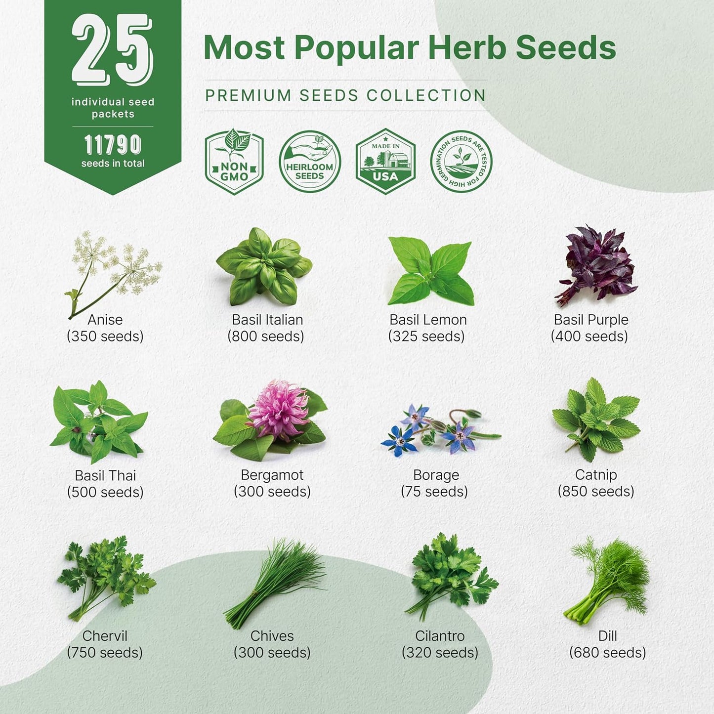 25 Most Popular Herb Seeds Variety Pack - 11,700 Non-GMO Heirloom Seeds for Planting Herbs in Individual Seed Packets for Hydroponic, Indoor & Outdoor Gardening