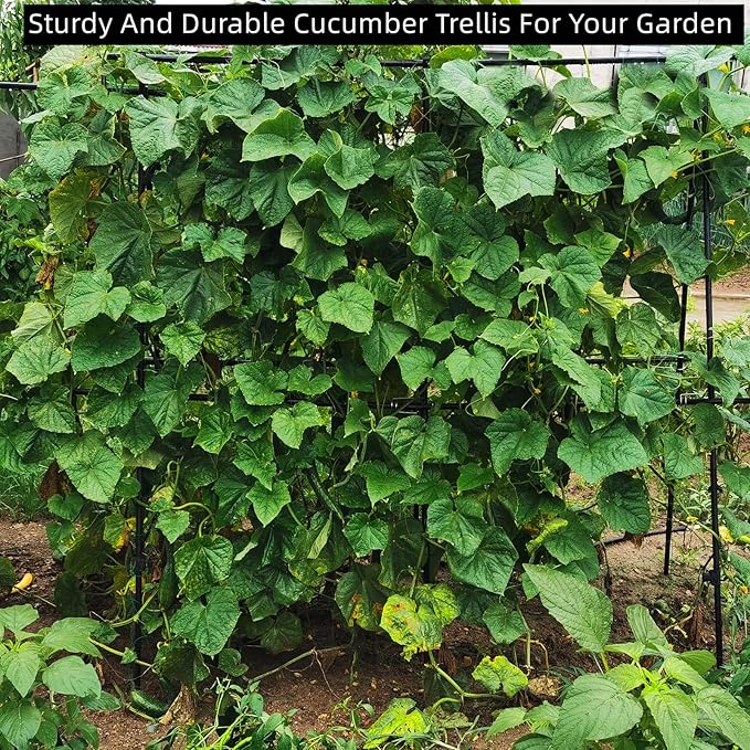 Cucumber Trellis 69.8" H x 36" W, A Frame Garden Trellis for Raised Bed Climbing Plants Metal+PE Coated Grow Support for Vines, Vegetables