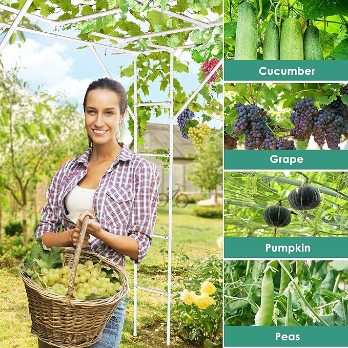 SHANTRA 118'' L x 79'' W x 90.5'' H Grape Vine Support Arch Arbor, Garden Arch Trellis, Plant Climbing Pergola, Arbour Gazebo for Backyard Decoration, White Rack for Vineyard