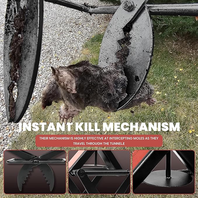 Mole Traps That Kill Best, 2 Pack Scissor Mole Trap, Sleek Black Stainless Steel Finish