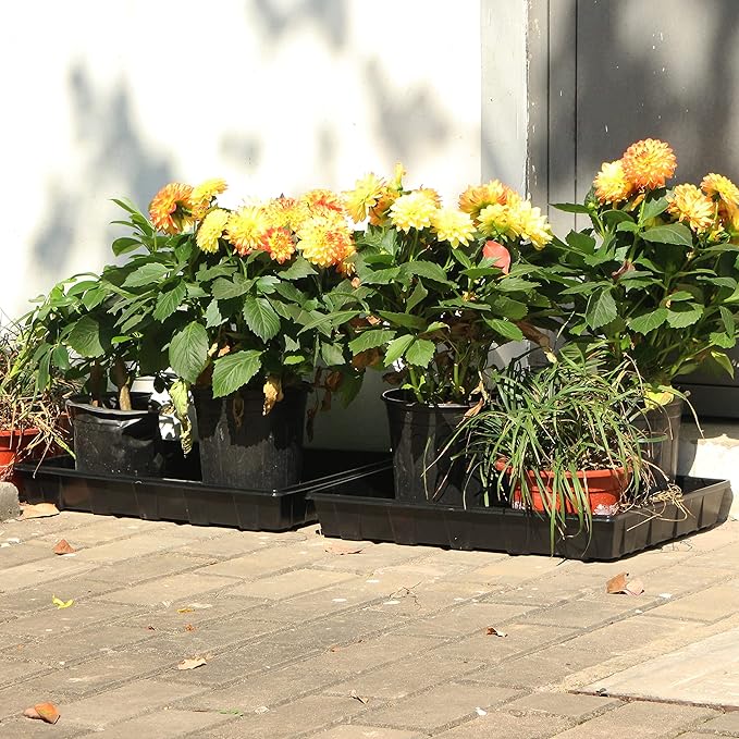 Gardzen 10 Pack Seed Trays, Reusable Plant Grow Trays, Ideal for Seed Starting, Microgreens, Indoor Gardening, and Greenhouse Plant Nurseries - No Drain Holes, 17.3" x 13"