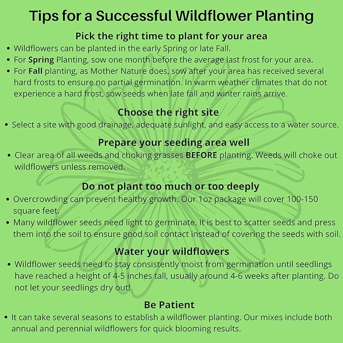 Hummingbird Nectar Wildflower Seeds - 1oz, Open-Pollinated Flower Seed Mix Packet, Non-GMO, No Fillers, Annual, Perennial Wildflower Seeds Year Round Planting - 1 oz