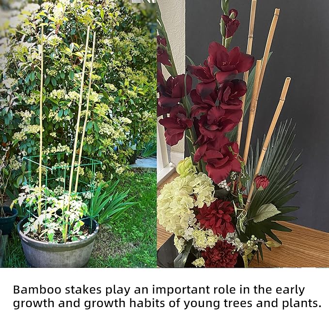 50Pcs Garden Stakes, 0.32”/ 2Feet Bamboo Sticks，Natural Plant Stakes for Indoor and Outdoor Plants，Poles for Tomatoes, Beans, Potted Plants…