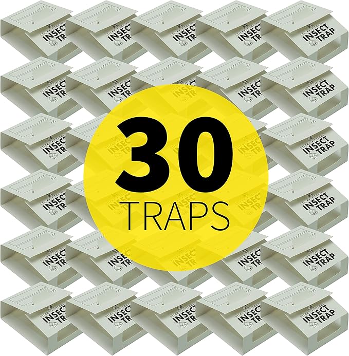 S&T INC. Insect Traps, 30 Count, Glue Traps for Brown Recluse, Hobo Spiders, Black Widows, Use in Home, Basement or Garage, or Utility Rooms for Pest Control
