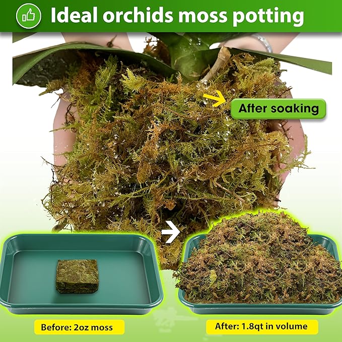 DUSPRO Dried Moss for Potted Plants, Forest Orchid Moss for Potting Mix, Sphagnum Potting Moss for Plants Indoor, Real Moss Soil Cover for Houseplant (2 OZ)