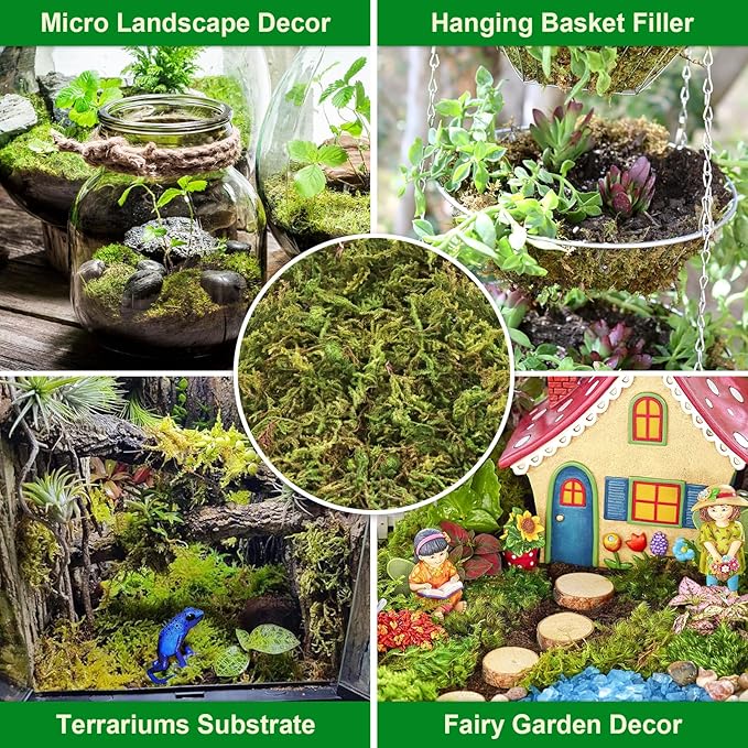 Legigo 7OZ Premium Forest Moss for Plants, 8 QT Natural Green Sphagnum Moss for Potted Plants, Dried Orchid Moss Potting Mix, Soft Real Moss Decorative for Houseplants Orchids Succulents Reptiles