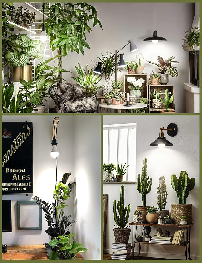 Grow Light Bulbs, Full Spectrum Light Bulb, A19 Grow Light Bulb, Plant Grow Light Bulbs E26 Base, 9W Plant Light Bulbs 100W Equivalent, Grow Bulb for Indoor Plants, Greenhouse, 3 Pack