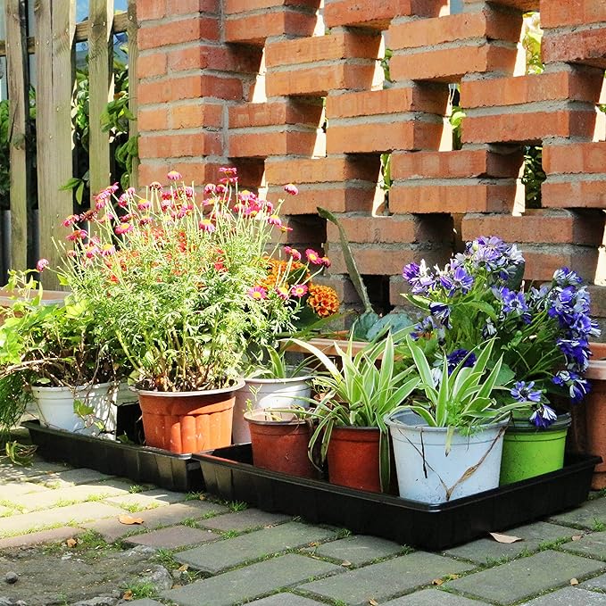 Gardzen 10 Pack Seed Trays, Reusable Plant Grow Trays, Ideal for Seed Starting, Microgreens, Indoor Gardening, and Greenhouse Plant Nurseries - No Drain Holes, 17.3" x 13"