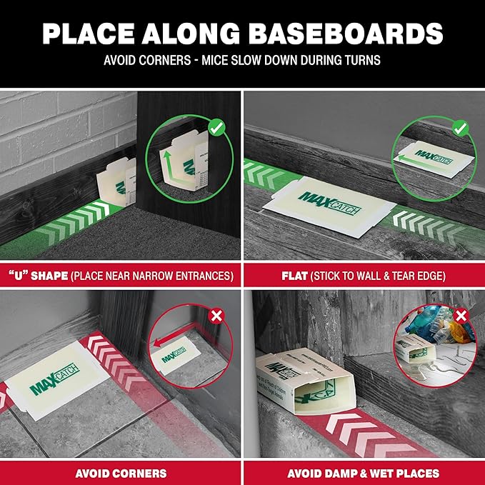 Catchmaster Max-Catch Mouse & Insect Glue Trap 36PK, Mouse Traps Indoor for Home, Sticky Pest Control Adhesive Tray for Catching Bugs, Non Toxic Bulk Unscented Glue Boards