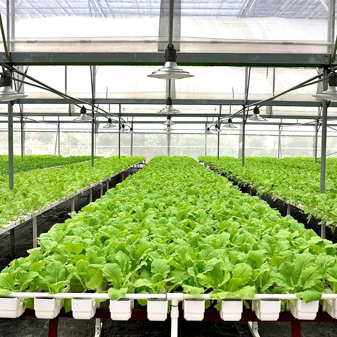 Outdoor LED Grow Lights, Waterproof String Plant Growing Light, Full Spectrum Growth Light with Timer, Suitable for Garden, Farm, Flower, Seedling Greenhouse Grow Light (12 Lights)