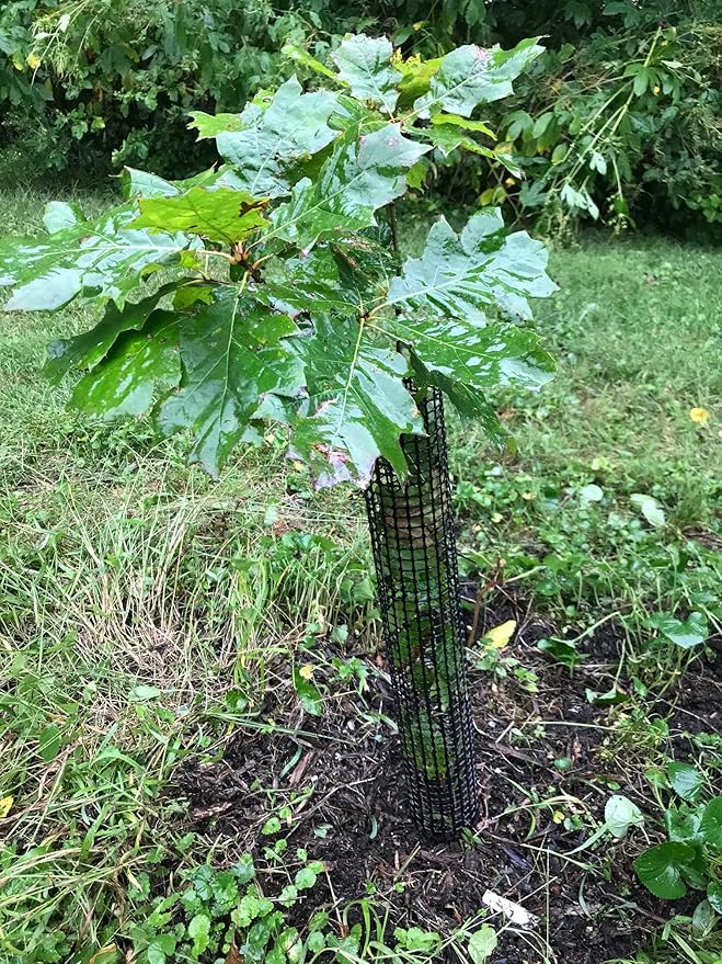 Mesh Tree Bark Protector 12 Inches Tall (25 Pack) Standard Weight with Zip Ties