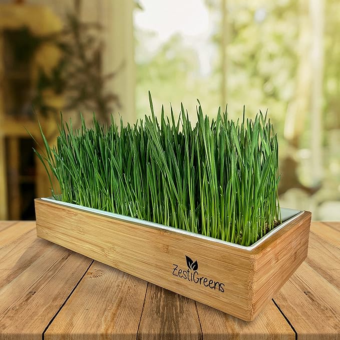 Organic Wheatgrass Self Watering Kit Refill Mats & Seeds for 5 Crops. (Refill Kits)