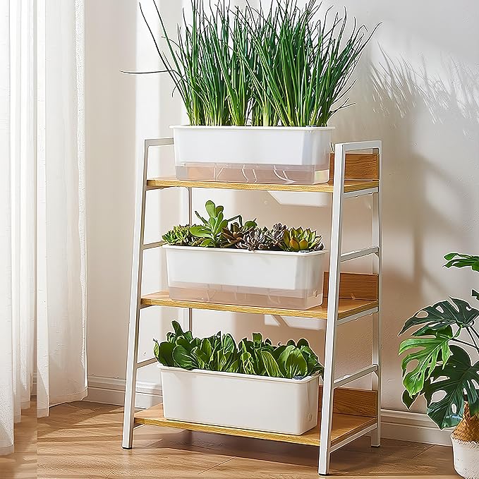 FAMZ Self Watering Pots - 3 Pack Transparent Rectangular Planting Pots for Indoor Plants - Suitable for Growing African Violets, Fruits, Vegetables, Flowers