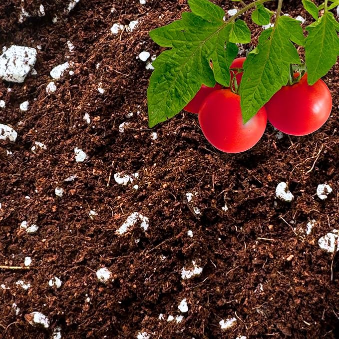 Coco Perlite - Coco Coir Perlite Mix - 70/30 Growing Media - Hydroponic, Indoor & Outdoor, Grow Bags & House Plants (1 Quart)