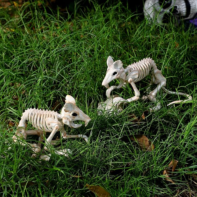 JOYIN 2 PCS Rats Skeleton Halloween Decoration 11 Inch Long Small Animal Skeleton Plastic Mouse Bones for Yard Garden Lawn Patio Graveyard Haunted House Halloween Party Favors Decor