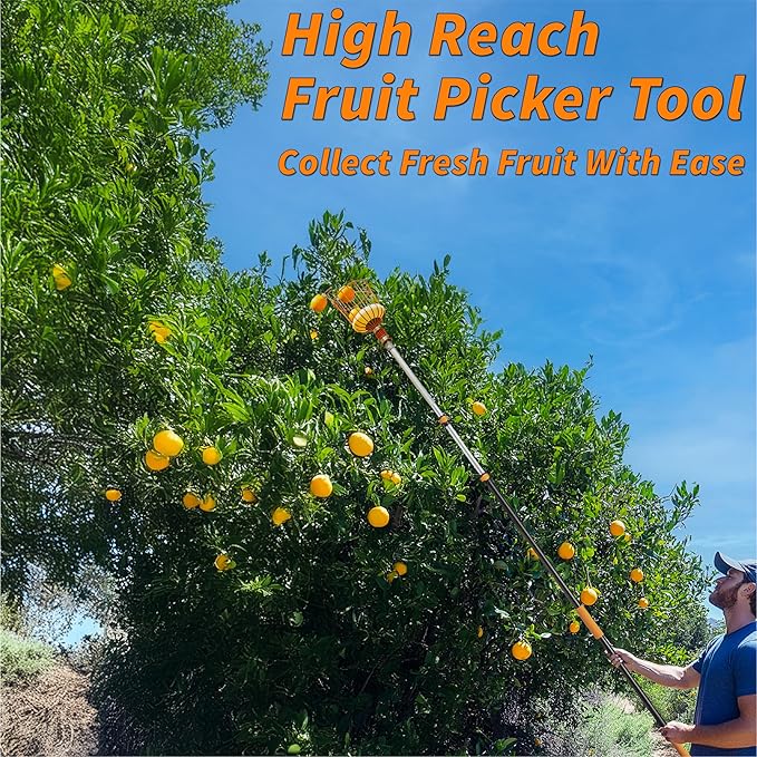 Fruit Picker Pole with Basket Telescoping 5-24 ft Apple Picker Extension Pole // Telescopic Fruit Tree Picker Tool for Picking Orange Mango Avocado Lemon Pear // The Ultimate High-Reach Fruit Grabber