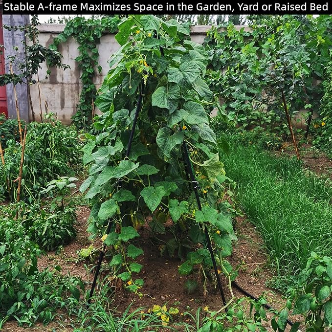 Cucumber Trellis 69.8" H x 36" W, A Frame Garden Trellis for Raised Bed Climbing Plants Metal+PE Coated Grow Support for Vines, Vegetables