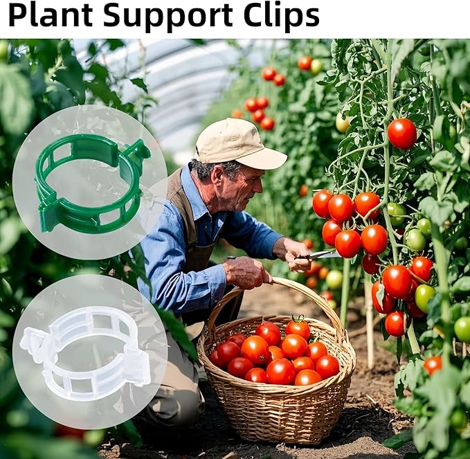 300 Pcs Plant Support Clips,Plastic Clips for Securing Plants,Tomato Vine Clips,Plant Fixing Clips,Garden Clips for Climbing Plants,Grape and Vine Vegetables (300, White)