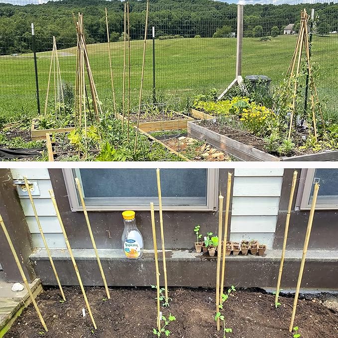 0.32”-0.4"/18Inch Garden Stakes, Natural Bamboo Sticks Plant Stakes for Indoor and Outdoor Plants，Poles for Tomatoes, Beans, Potted Plants(50Pcs)…