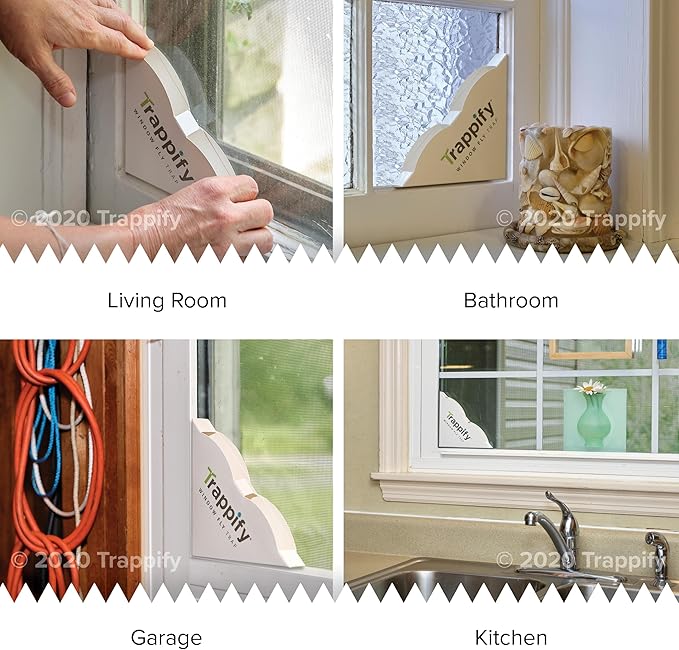 Trappify Fly Trap Indoor: Window Fly Traps for Home | Fruit Fly Traps for Indoors, Gnat Traps for House Indoor | Disposable Fly Trap with Sticky Adhesive Strips | Inside Bug Catchers (12 Pack)