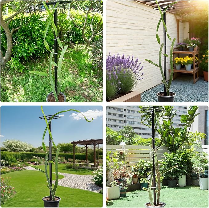 63" Metal Dragon Fruit Trellis – Durable Outdoor Garden Support for Climbing Plants, Easy Assembly Vertical Structure, Ideal for Dragon Fruit Growers