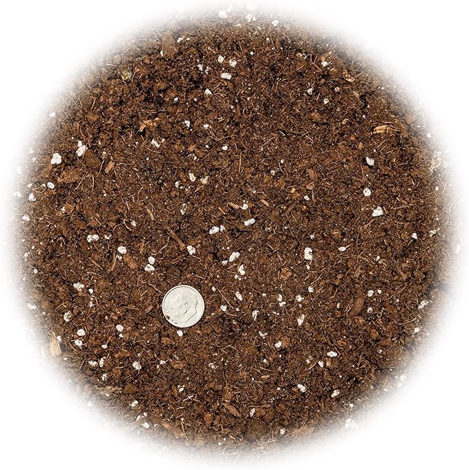 Money Tree Potting Soil - 10 Quart - Soil Mix for Planting or Repotting Guiana Chestnut, Blended Mix to Properly Grow Money Tree Plants (2 Bags of 5 Quart)