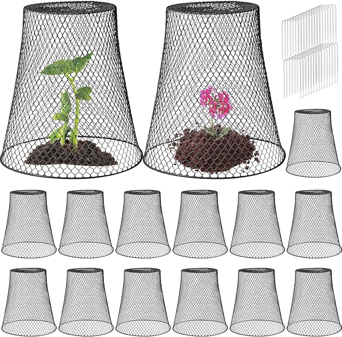 Therwen 15 Pcs Large Chicken Wire Cloche Plant Protector Cover 11x12 Inch Metal Garden Cloche Dome for Plants Wire Protection Basket with Garden Stakes Plant Cages from Animals (Black)