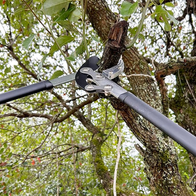 Loppers for Tree Trimming, Heavy Duty Branch Cutter Tree Clippers with Compound Action, Chops Thick Branch Ease, Garden Lopper Pruning, 32 Inch Tree Trimmer with 2" Clean Cut Capacity