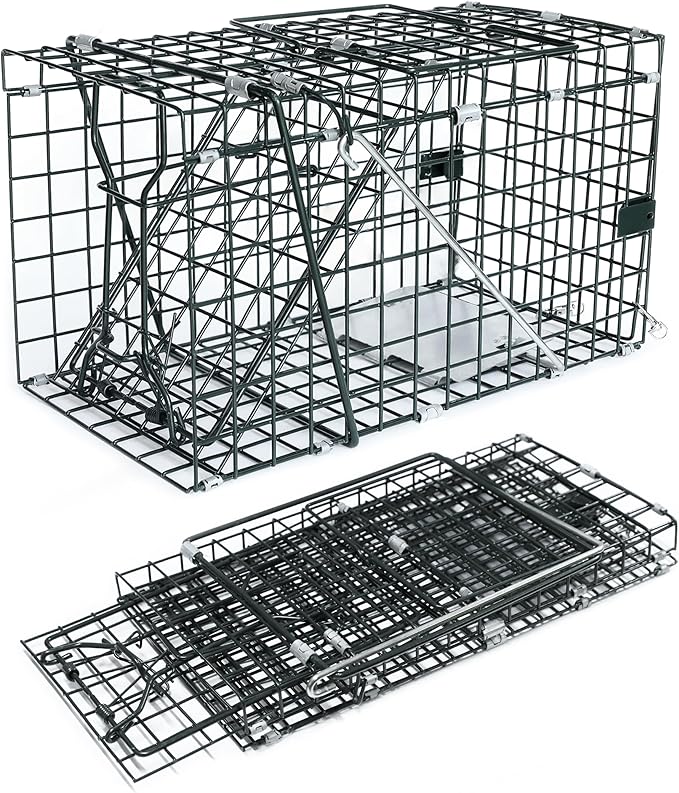 HOMESTEAD Collapsible Live Trap 14in – Small Animal Trap Cage for Red Squirrels, Adult Rats, and Small Weasels with 1″ Mesh Wire