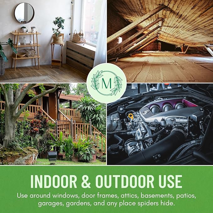 Minty Spider Repellent, Natural 5% Peppermint Oil Spray, Kills & Deters All Types of Spiders and Insects, Indoor and Outdoor Use, 128 fl oz Gallon