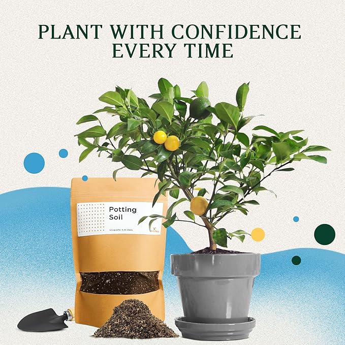 Chunky Soil Mix for Indoor Plants - Citrus Trees, Indoor Potting Soils, Loamy Soil for Tree Plant, Fruit Bedding, Lemon Tree Bedding Tropical and Potting Mix Soils (4.25 quarts) by Via Citrus