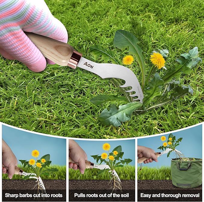 AON 2-Pack Hand Crack Weeder Puller Tool Set - Made with Heat Treated Steel and Ash Wood Ergonomic Handles, Weeding Tools Ideal for Gardens and Patio Lawns to Effectively Pull Out Weeds & Their Roots