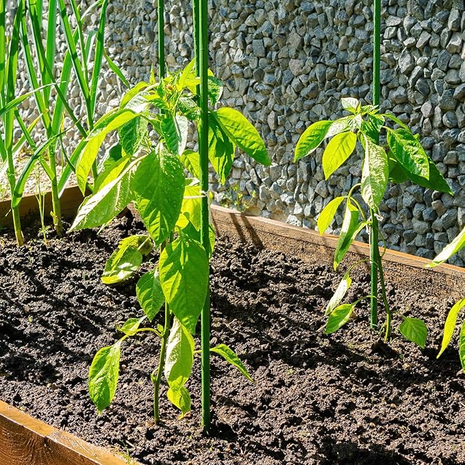 uxcell 6 Pcs Plant Support Stakes, 27.5" Twig Plant Stem Support Structures Garden Branches Plants Supports for House Potted Monstera Plants, Green