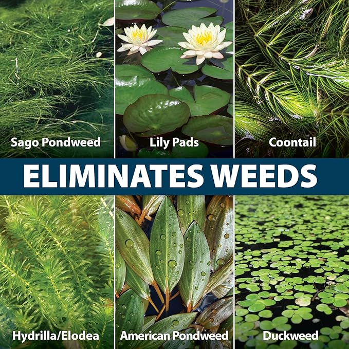 Airmax Wipeout Pond Weed Defense, Herbicide & Aquatic Weed Control, Controls Duckweed & Other Unwanted Submerged & Floating Vegetation, Easy-to-Use & Long Lasting, All-Season Treatment - 32 Ounce