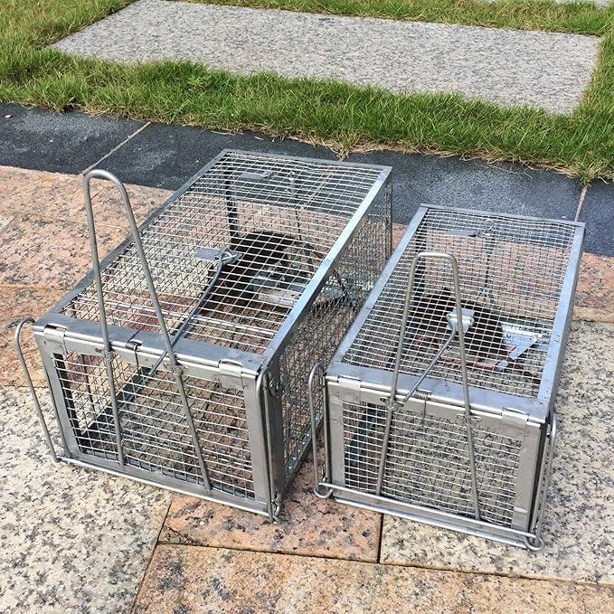 Kensizer 2-Pack Humane Rat Trap, Chipmunk Rodent Trap That Work for Indoor and Outdoor Small Animal - Mouse Voles Hamsters Live Cage Catch and Release