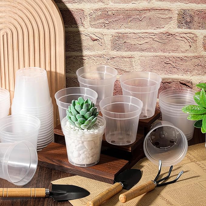Yaomiao 80 Pcs 3 Inch Clear Mini Plastic Plant Pot Nursery Seedling Pots Seed Starter with Drainage Holes for Indoor Outdoor Garden Succulent Plants Cuttings Transplanting