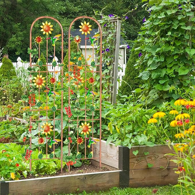 2Pcs Metal Garden Trellis, Arched Fence Trellis Plant Support Trellises, Supporting Plants Outdoor Decoration for Climbing Plants Lawn Yard Patio Backyard Wall Brackets (Hummingbird)