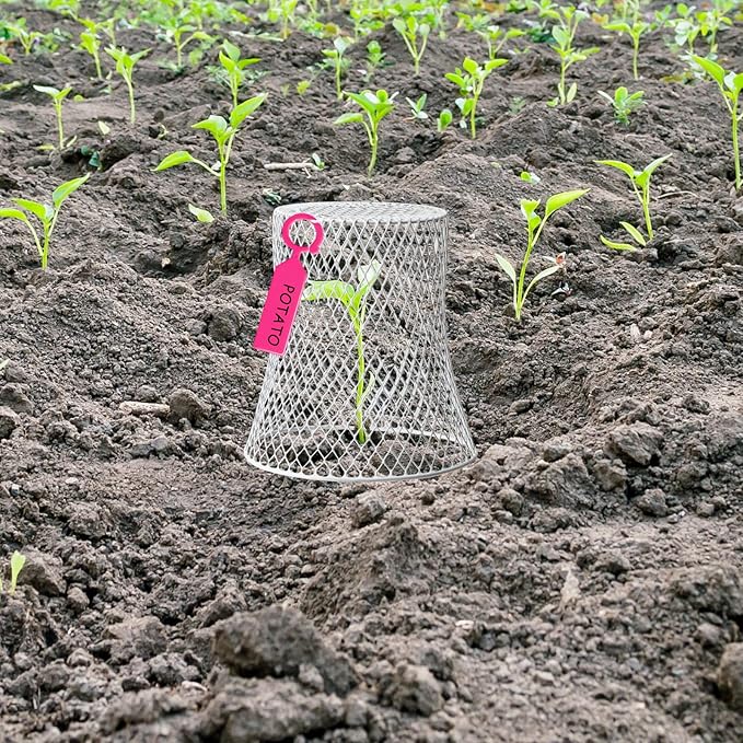 40 Pcs 9 inch Chicken Wire Plant Covers Bulk,Wire Garden Cloches Chicken Wire Cloche Plant Protector Metal Heavy Duty Garden Plant Cloche for Keeping Bunnies Chicken Squirrels Birds Other Out