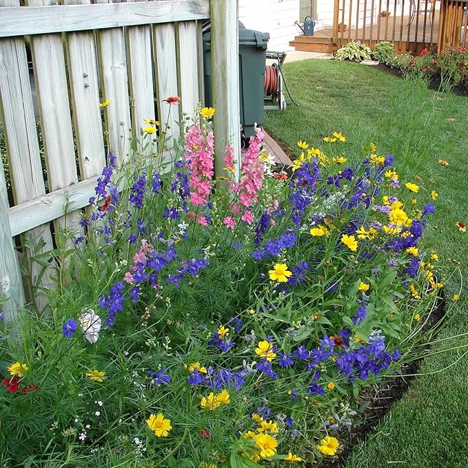 Created By Nature Idaho Wildflower Seed Mix, 14 Flower Varieties, 53,000 Seeds