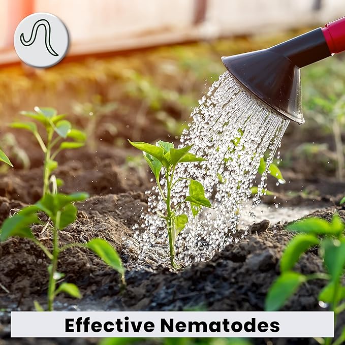 The Environmental Factor Nematodes Organic Insect Control Pot Popper, Controls Fungus Gnats, Root Aphids & Western Flower Thrips - 100% Pesticide free, 8 Infusion Bio-Pouches Per Popper