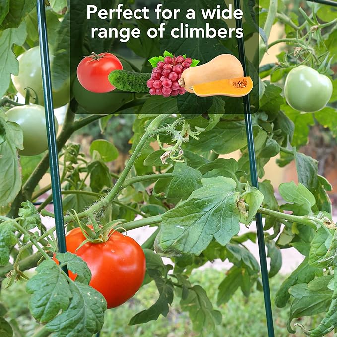 Cucumber Trellis - A Frame Trellis for Raised Bed Climbing Plants, Vegetables. Includes Plant Support Clips, Gardening Gloves, Cable Ties - Made from Galvanized Steel - Weather-Resistant