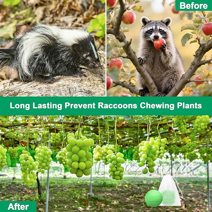 36 Pack Powerful Peppermint Oil to Repel Skunk, Natural Raccoon Rat Repellent for Yard Outdoor Garden Home Plant, Mice Squirrel Skunk Fox Deer Deterrent Pet & Humans Safe