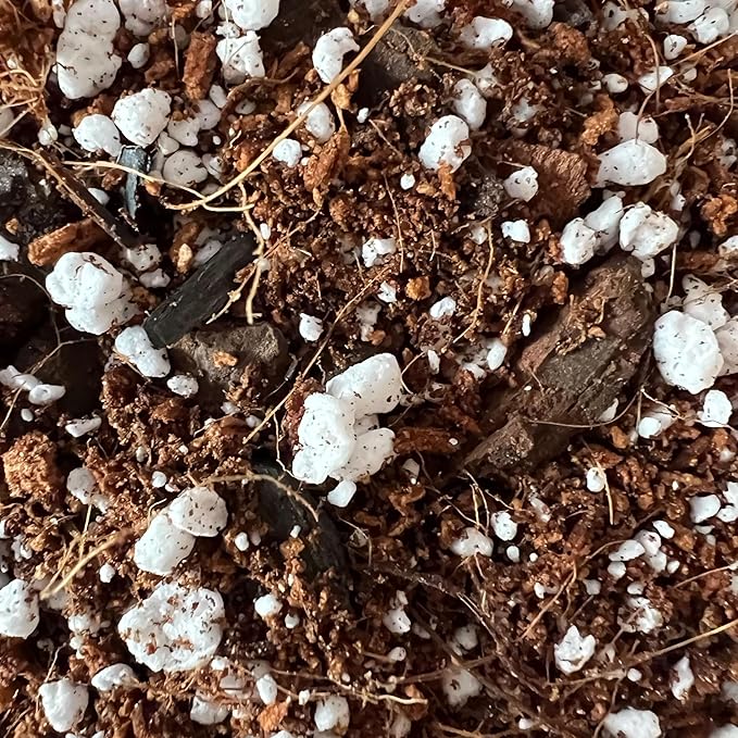 rePotme ZZ Plant Potting Soil - Imperial Houseplant Mix - Mini Bag (2 Quarts) - Great Potting Mix for Indoor Plants