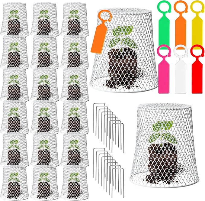 20 Pcs 8inch Chicken Wire Plant Covers,Wire Garden Cloches Chicken Wire Cloche Plant Protector Metal Heavy Duty Garden Plant Cloche for Keeping Bunnies Chicken Squirrels Birds Other Out