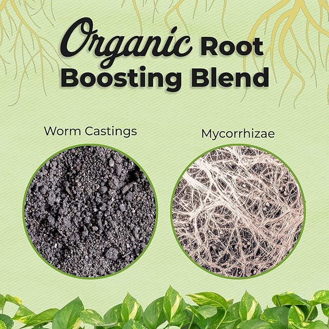 Organic Aroid Potting Mix by Perfect Plants | Chunky Gardening Soil for Tropical Indoor House Plants | Pine Bark Chips and Mycorrhizae (8qt)